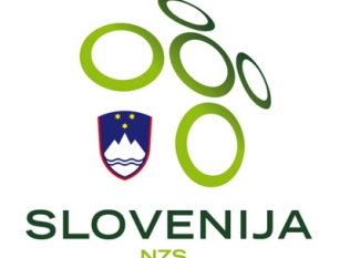 Nogometna zveza Slovenije (NZS)